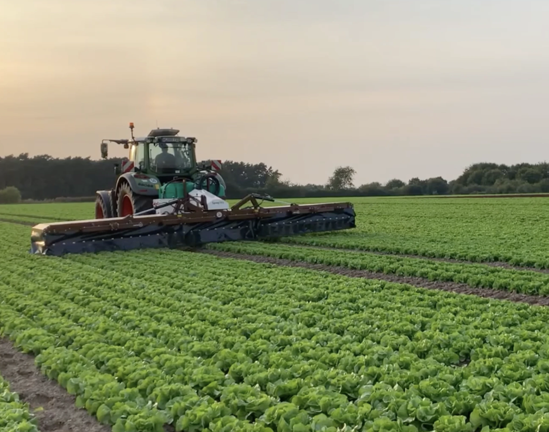 Success story visual